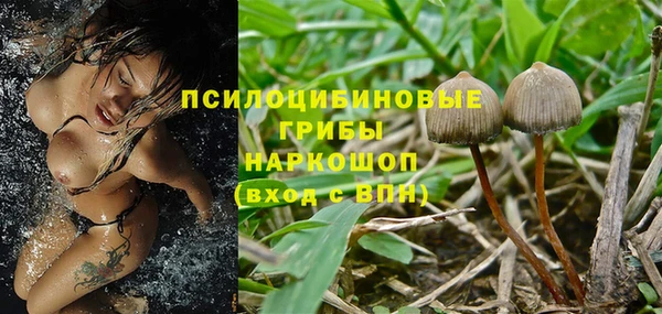 PSILOCYBIN Армянск