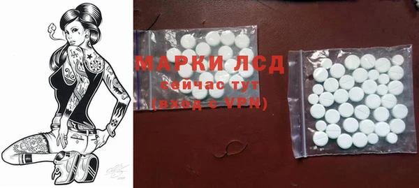 ПСИЛОЦИБИНОВЫЕ ГРИБЫ Арсеньев