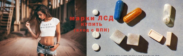 спиды Аркадак