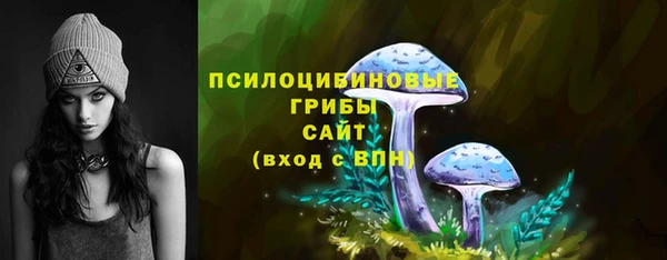 ПСИЛОЦИБИНОВЫЕ ГРИБЫ Арсеньев