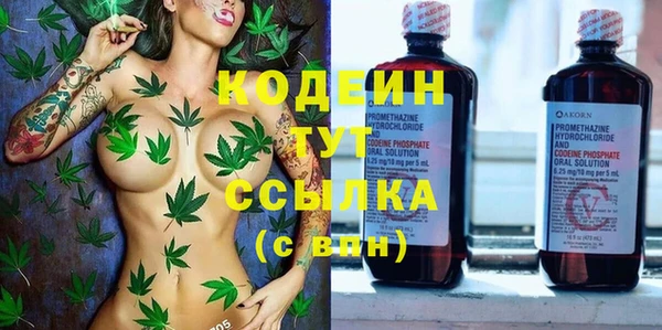 ПСИЛОЦИБИНОВЫЕ ГРИБЫ Арсеньев
