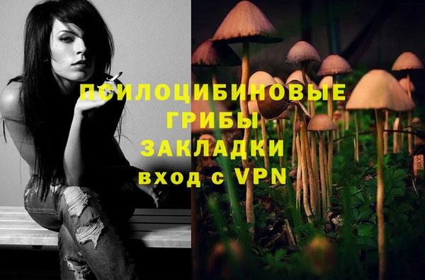 ПСИЛОЦИБИНОВЫЕ ГРИБЫ Арсеньев