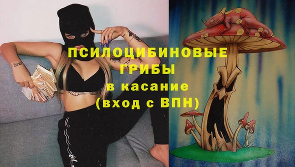 PSILOCYBIN Армянск