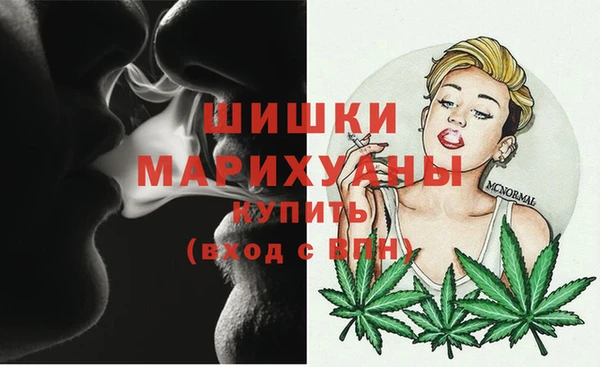 PSILOCYBIN Армянск