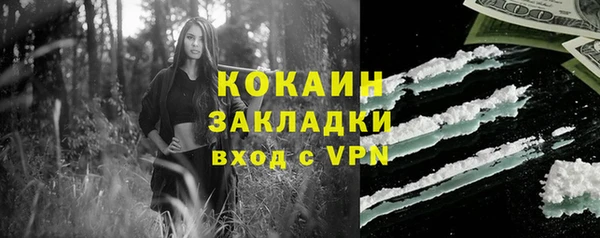 ПСИЛОЦИБИНОВЫЕ ГРИБЫ Арсеньев