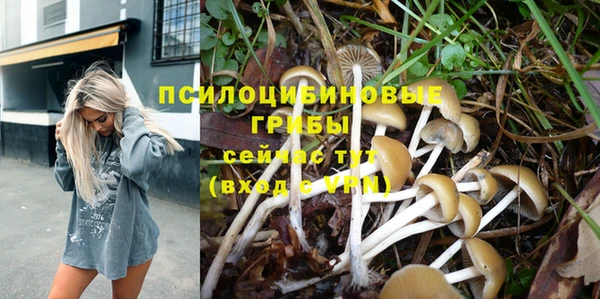 спиды Аркадак