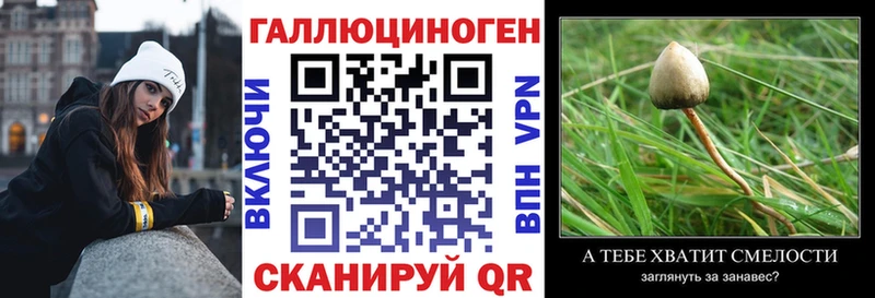 Псилоцибиновые грибы мухоморы  купить  цена  Мглин 